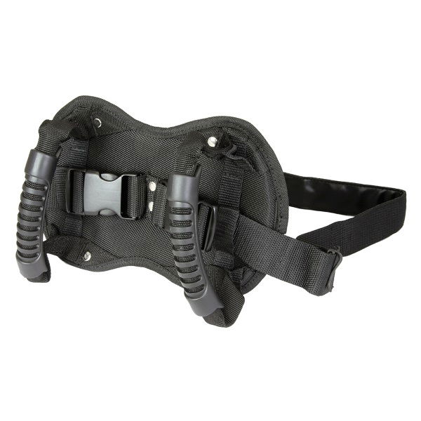 Bike It Pillion Buddy Rider Waist Belt